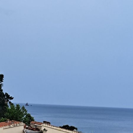 Apartament The Four Fish Petrovac Zewnętrze zdjęcie