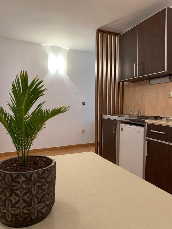 Apartament The Four Fish Petrovac Zewnętrze zdjęcie